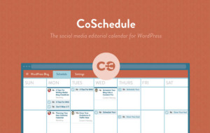 CoSchedule-an excellent addition to any blog